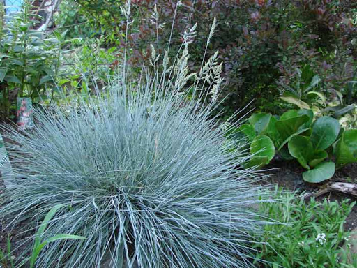 Превью изображения