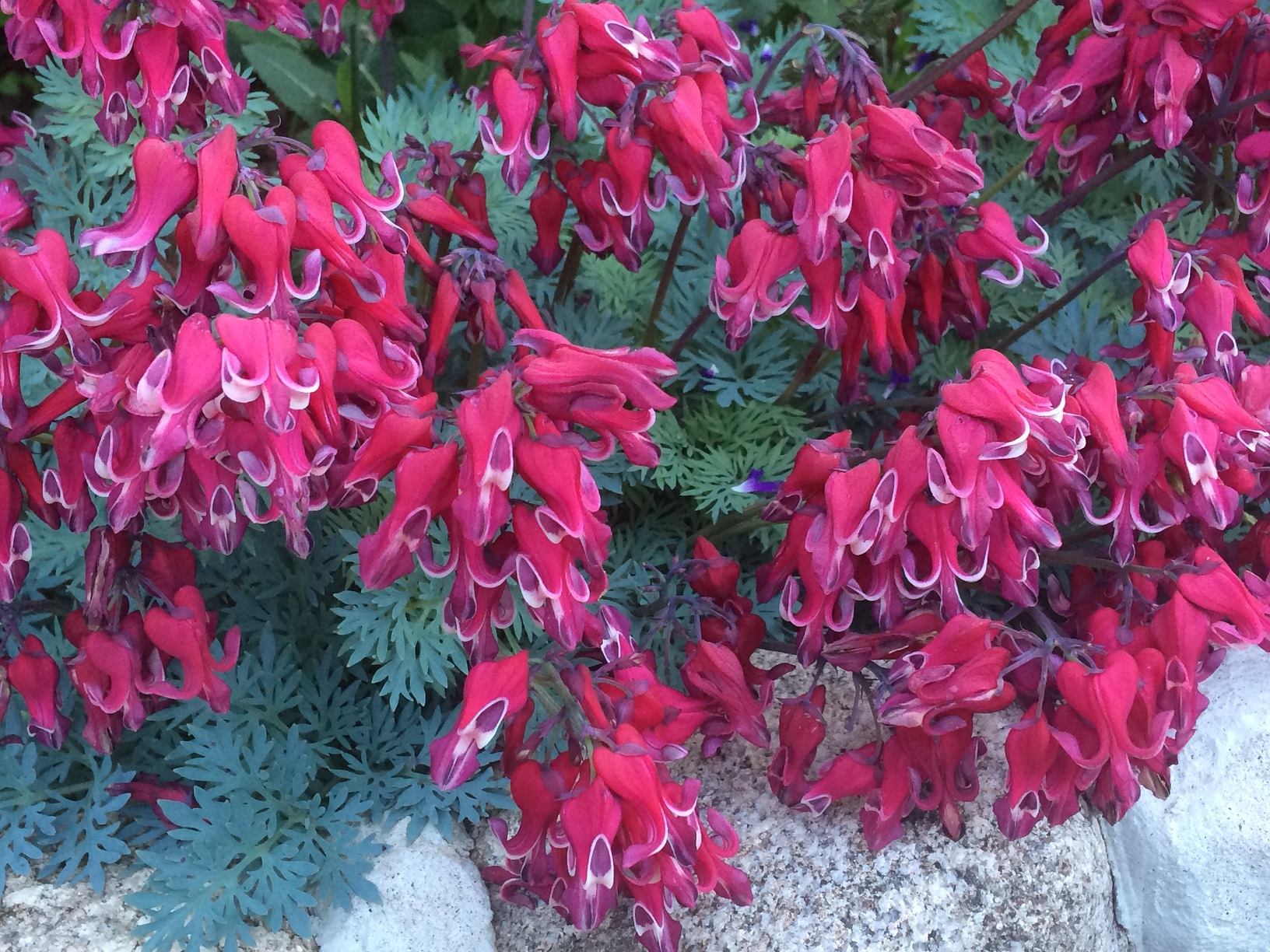 Превью изображения