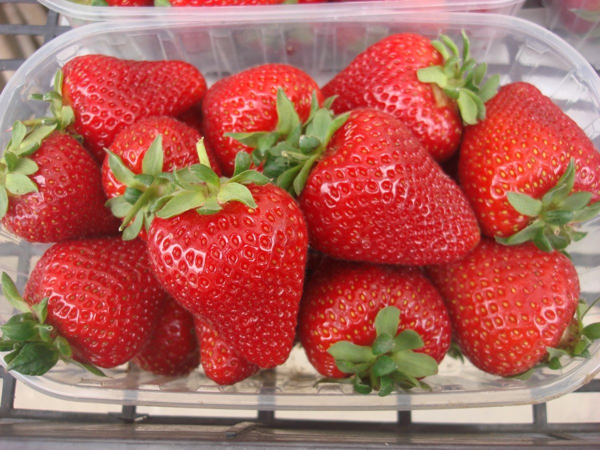 Превью изображения