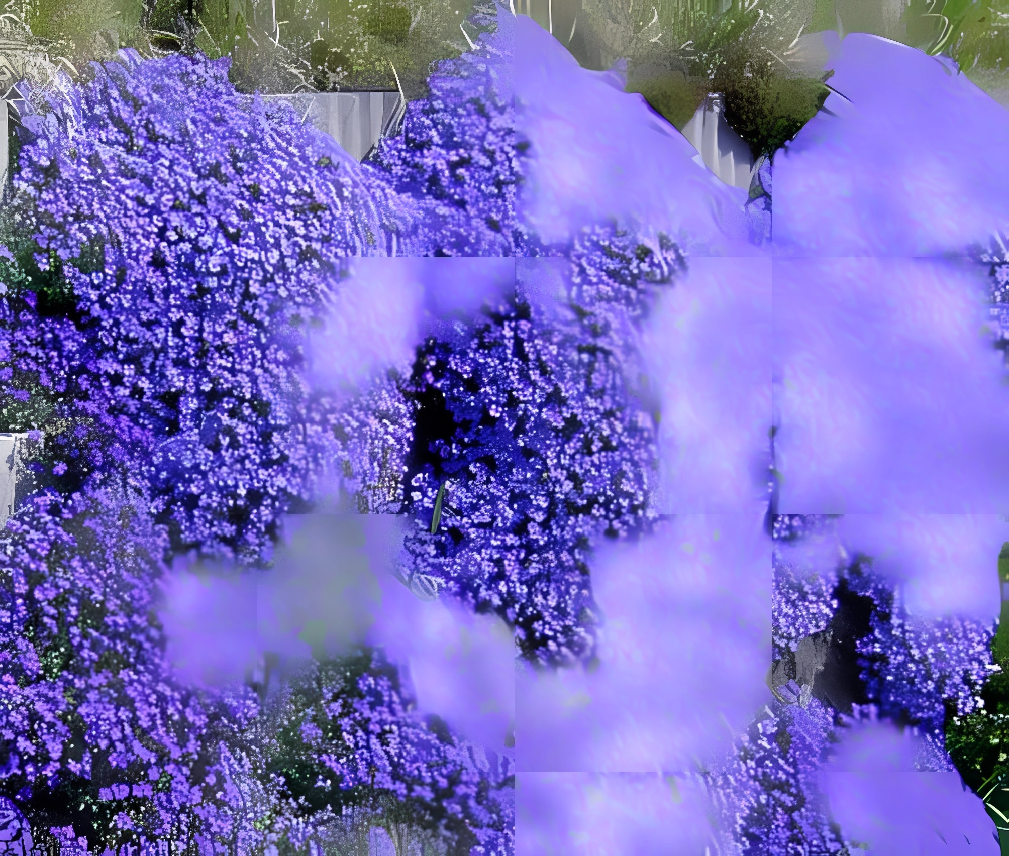 Превью изображения