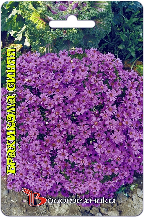 Превью изображения