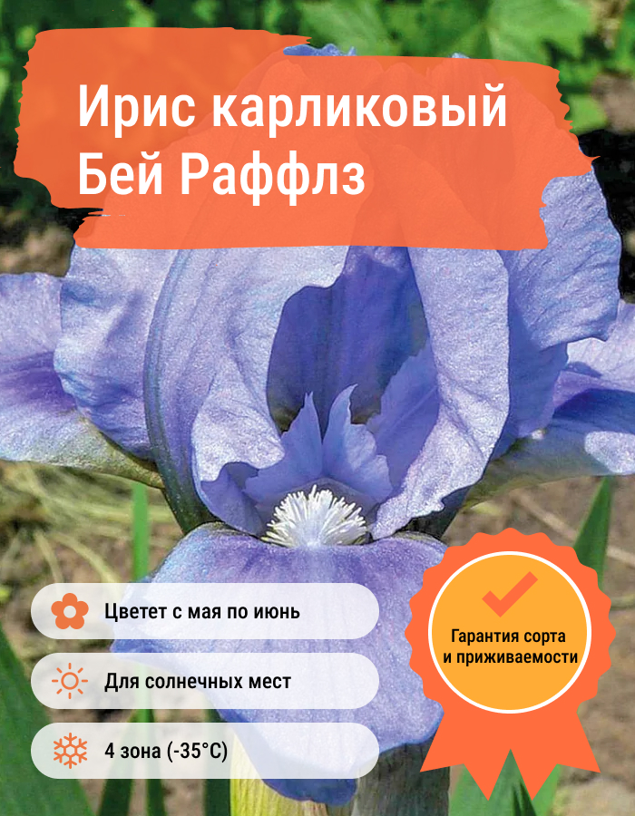 Превью изображения