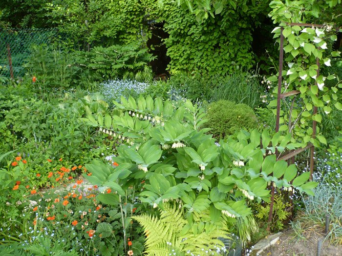 Превью изображения