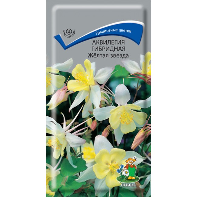 Превью изображения