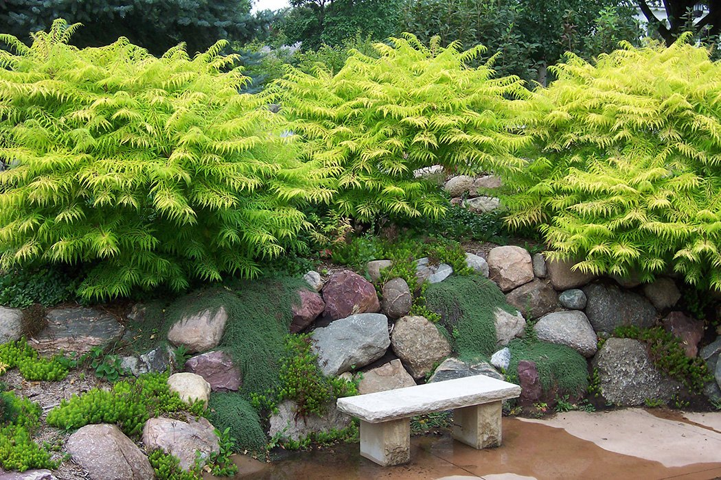 Превью изображения