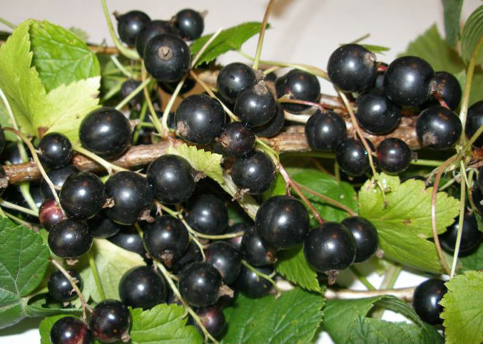 Превью изображения