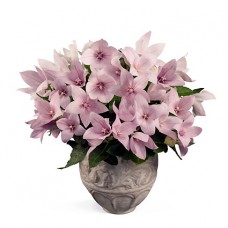 Превью изображения