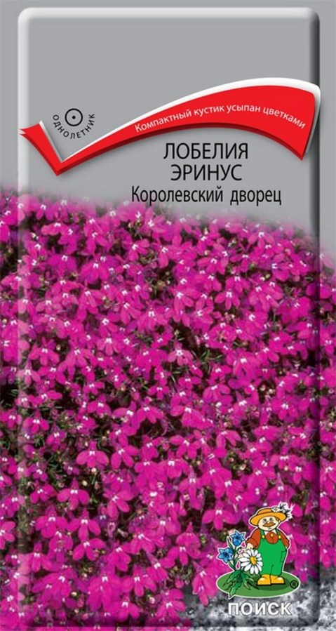 Превью изображения