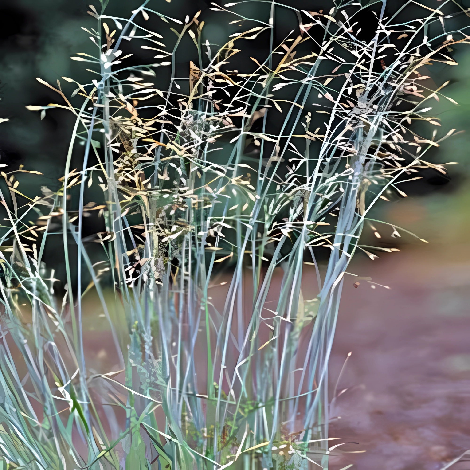 Превью изображения