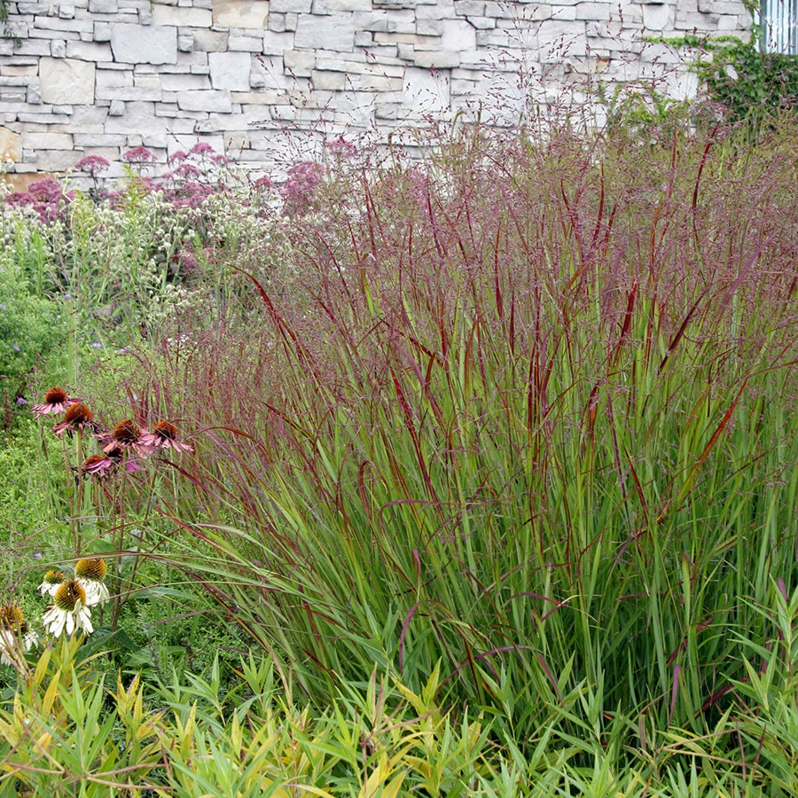 Превью изображения