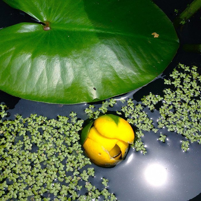 Превью изображения