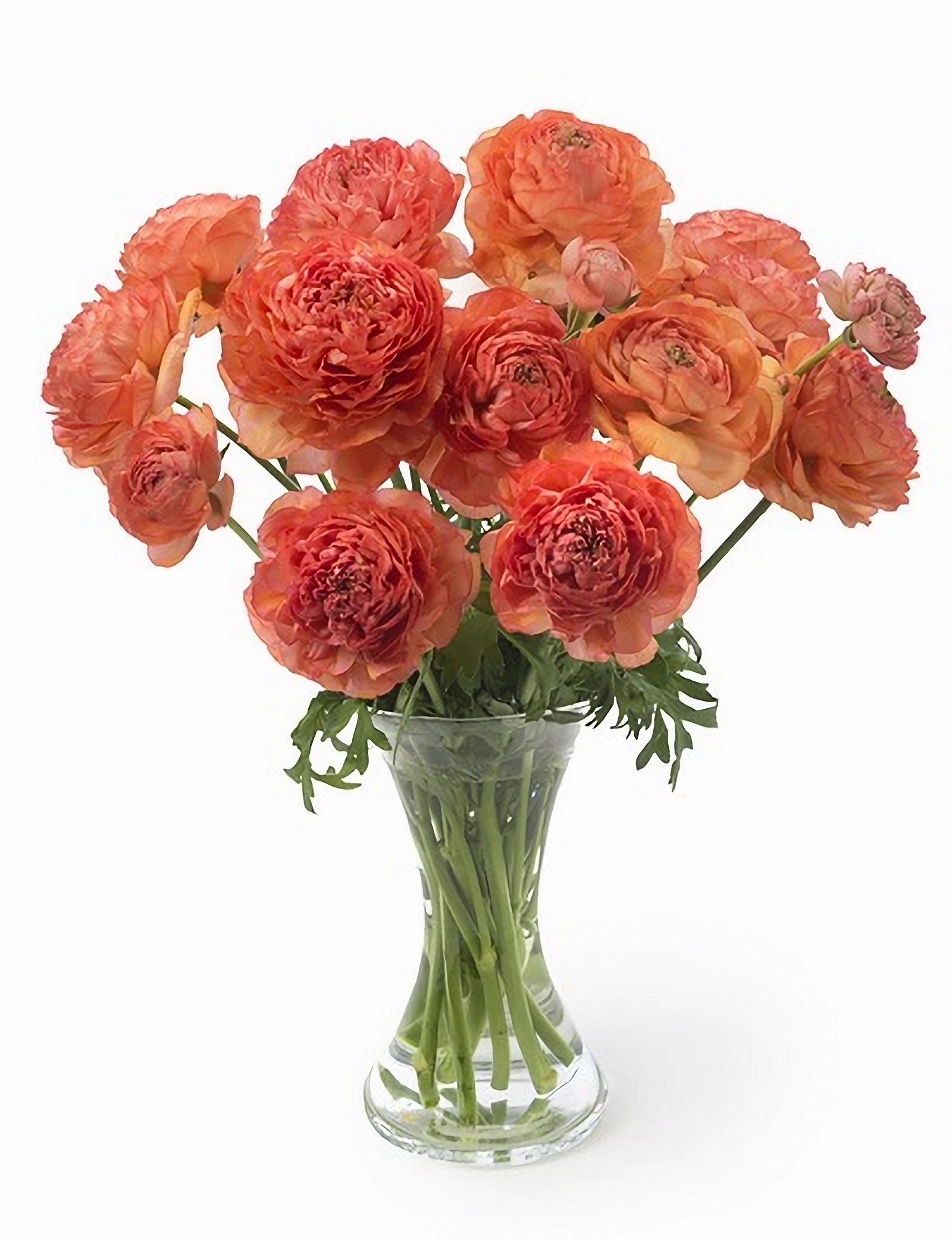 Превью изображения