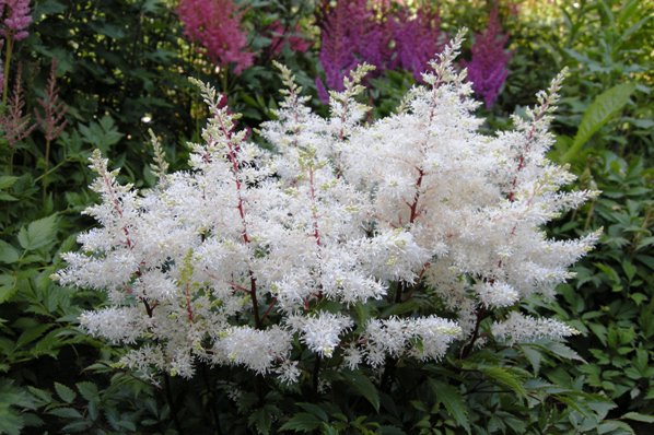 Превью изображения