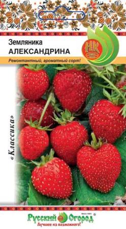 Превью изображения