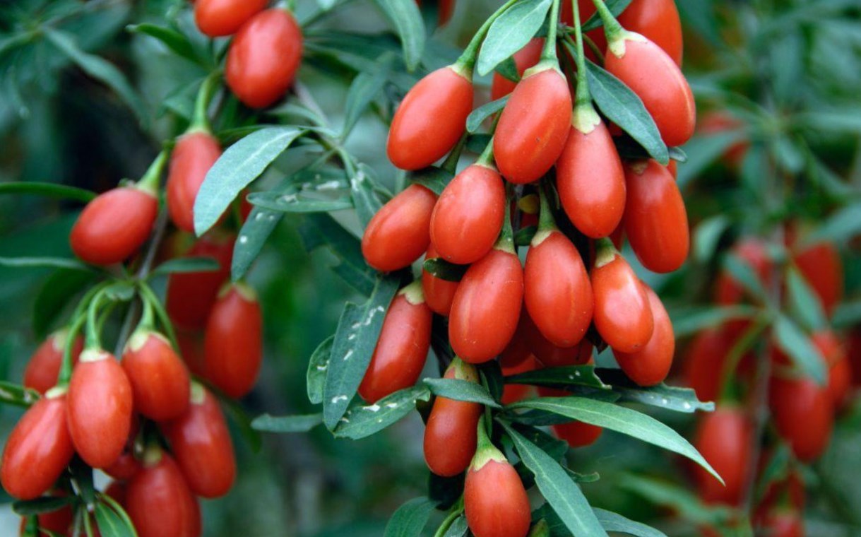 Превью изображения