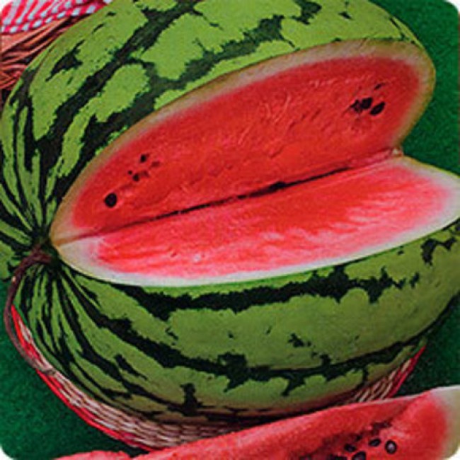 Превью изображения