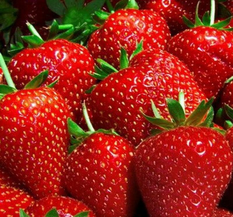 Превью изображения