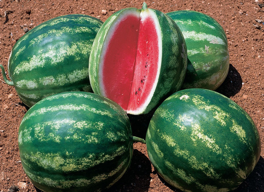 Превью изображения