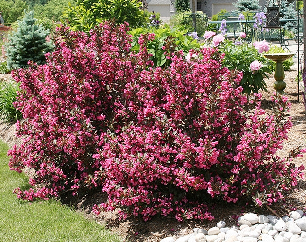 Превью изображения