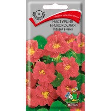 Превью изображения