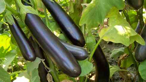 Превью изображения