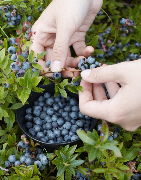 Превью изображения