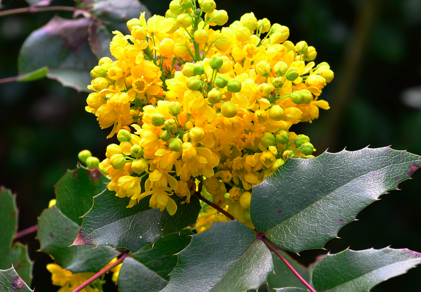 Превью изображения