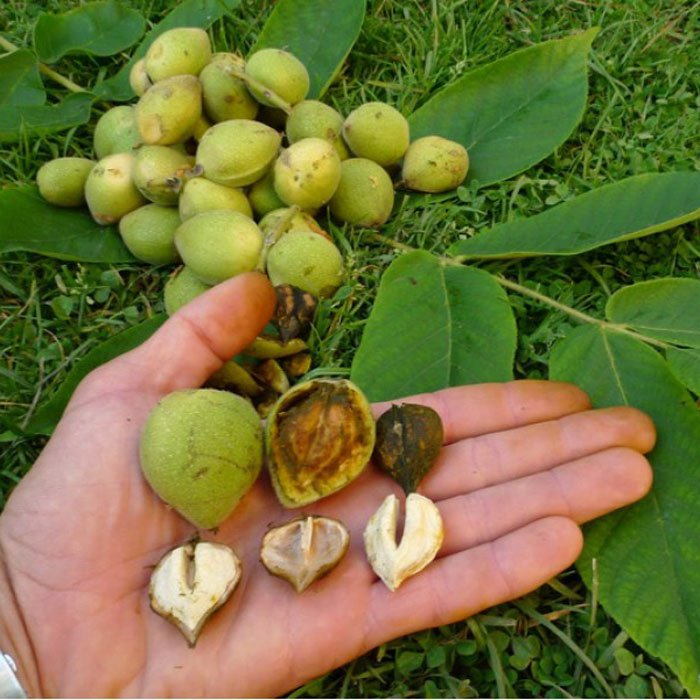 Превью изображения