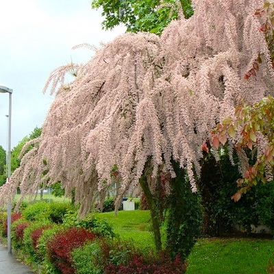 Превью изображения
