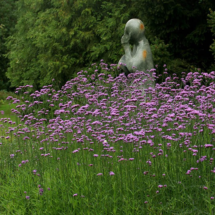 Превью изображения