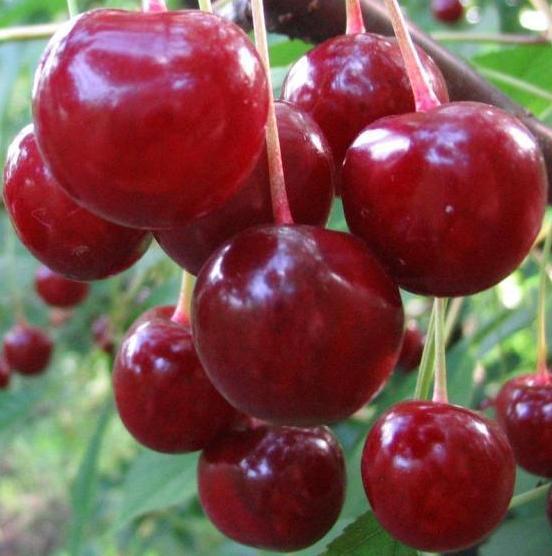 Превью изображения