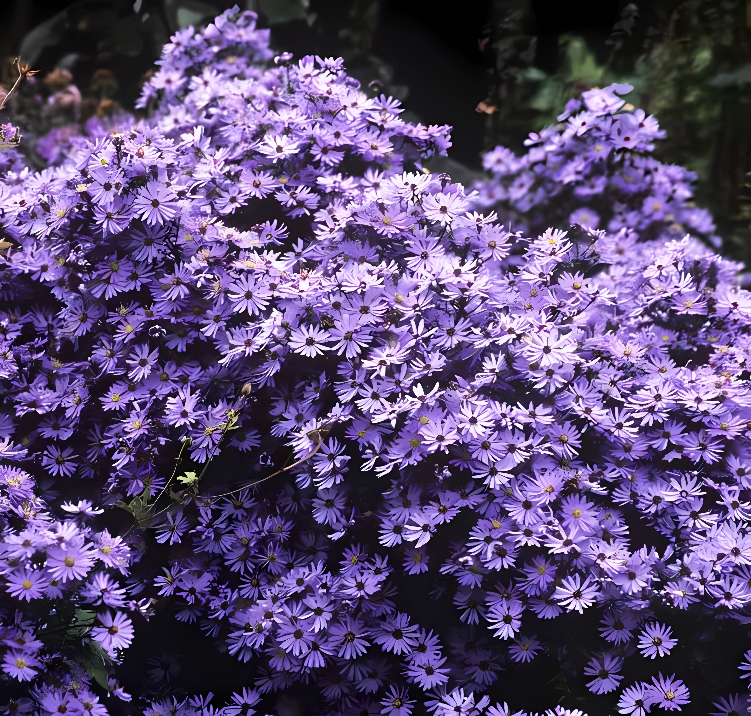 Превью изображения