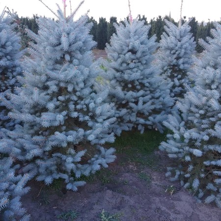 Превью изображения