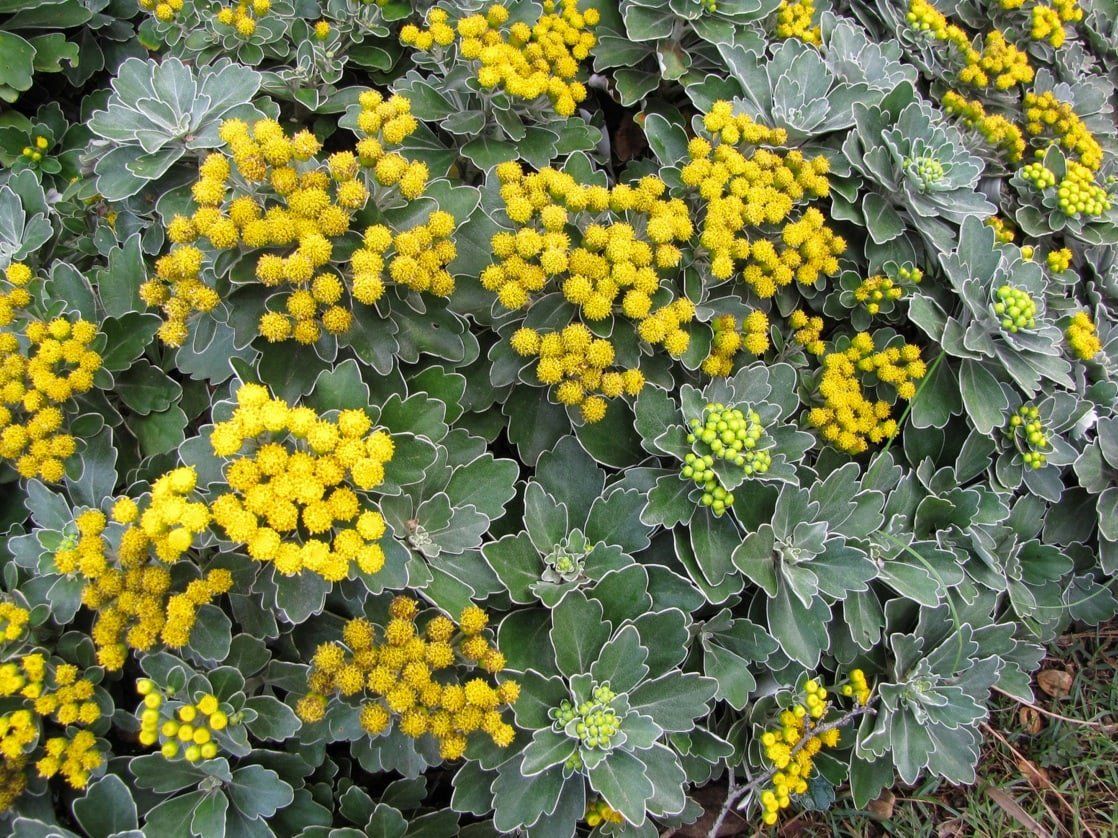 Превью изображения