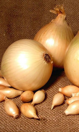 Превью изображения