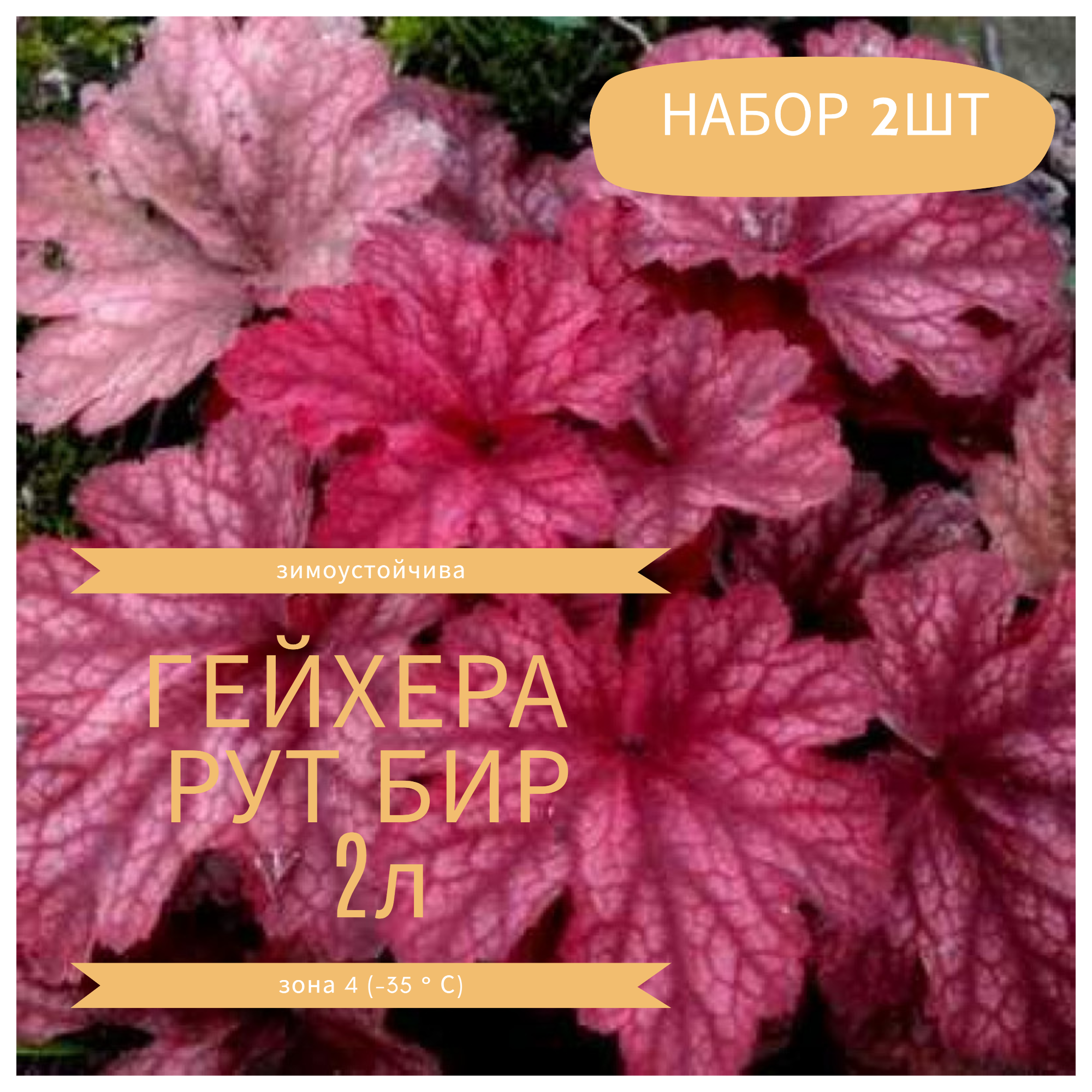 Превью изображения