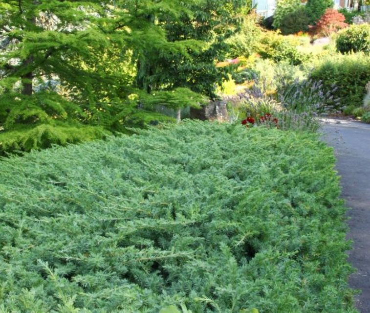 Превью изображения