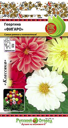 Превью изображения