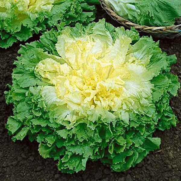 Превью изображения