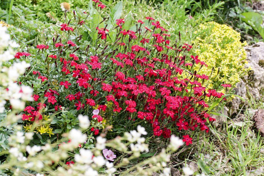 Превью изображения