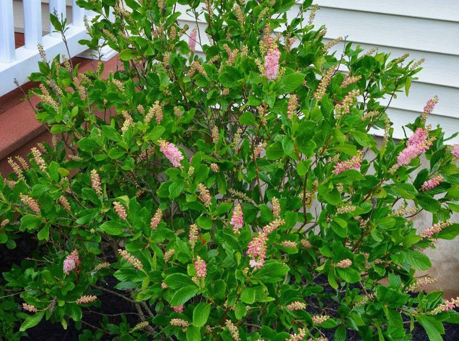 Превью изображения