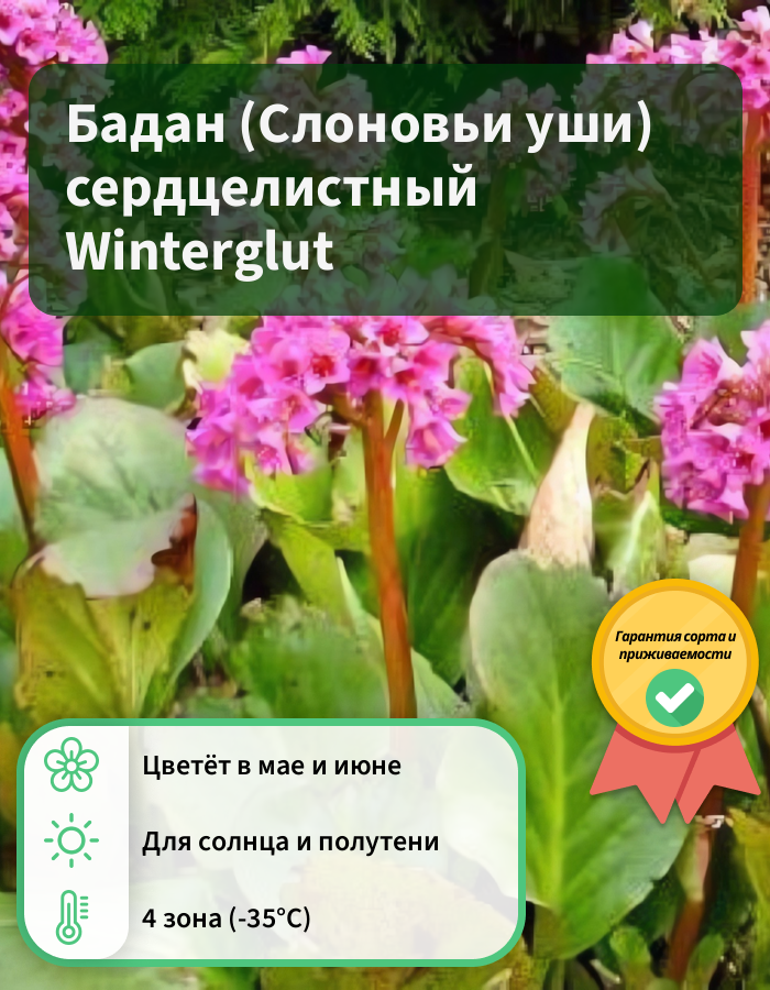 Превью изображения