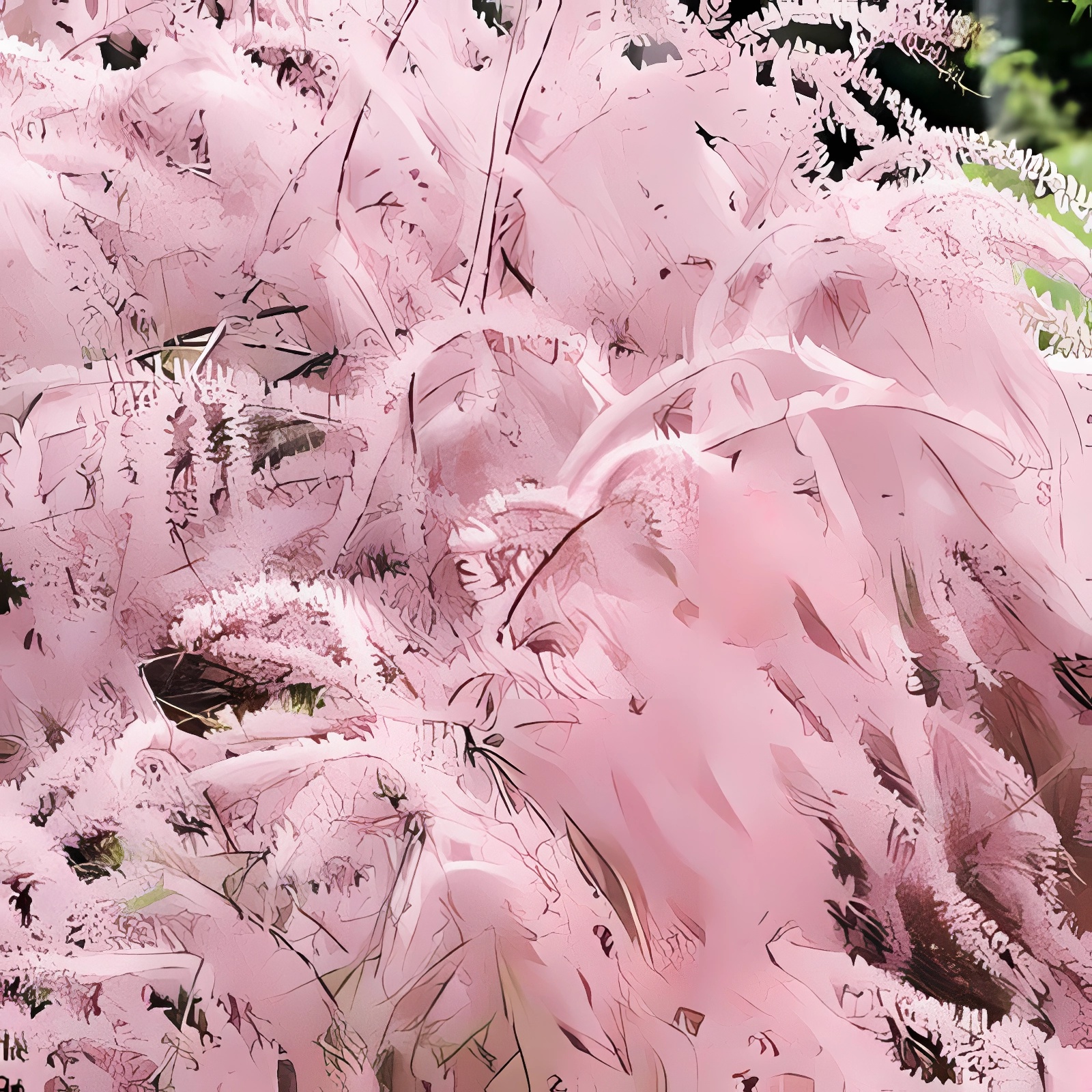 Превью изображения