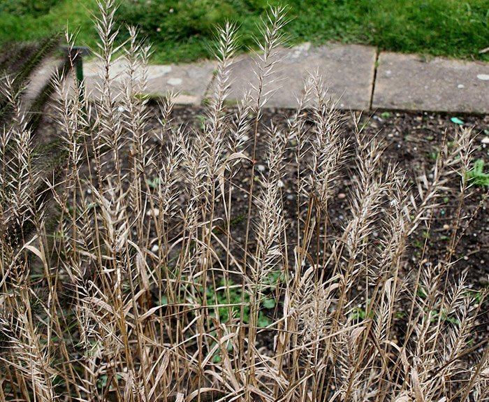 Превью изображения