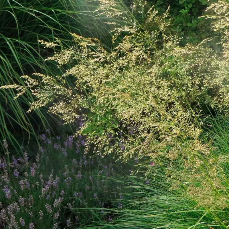 Превью изображения