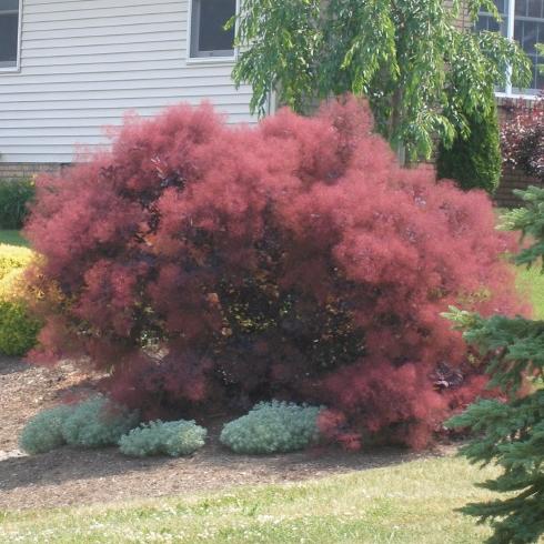 Превью изображения