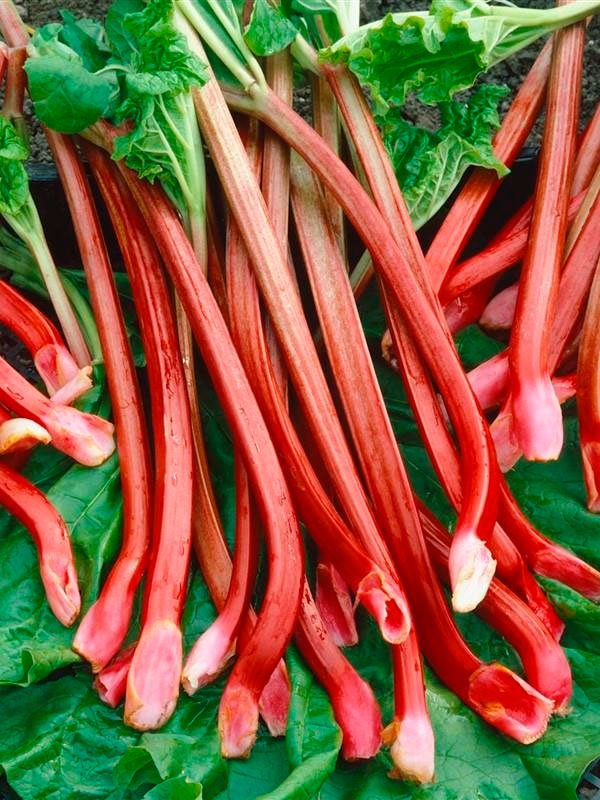 Превью изображения