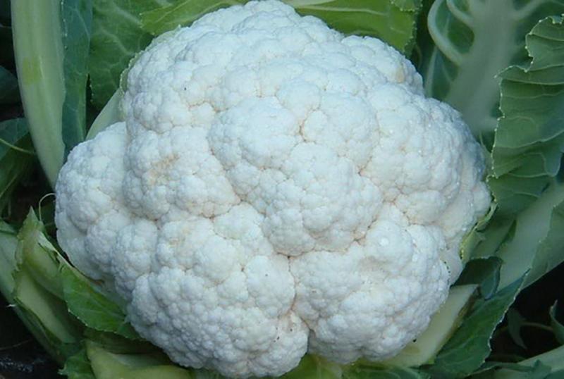 Превью изображения