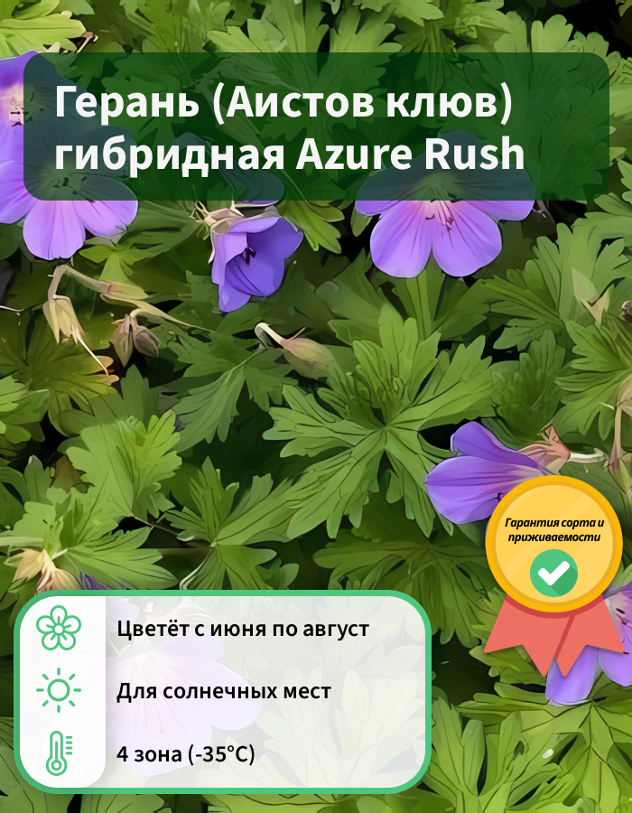 Превью изображения