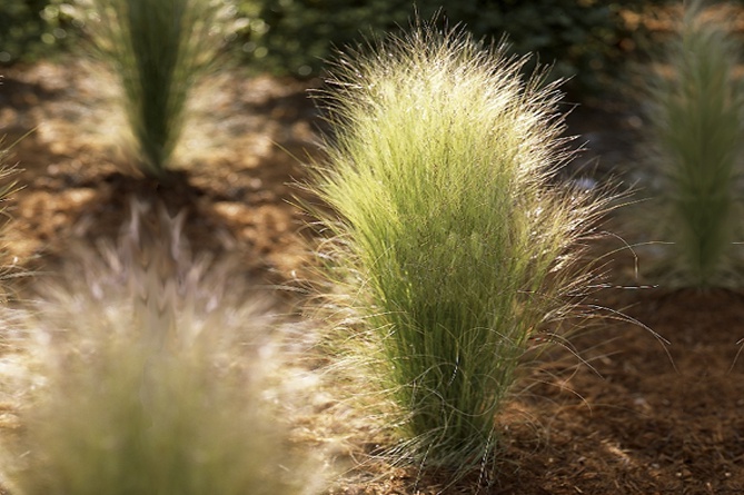 Превью изображения